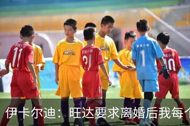伊卡尔迪：旺达要求离婚后我每个月付48万欧元，法院驳回荒唐要求